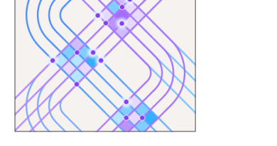 IBV – Cut the cost of complexity report